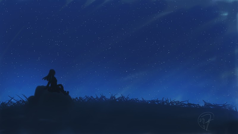 digital, digital art, artwork, night, sky, skyscape, nature, silhouette, women, women outdoors, blue, stars, starry night, grass, landscape, rocks