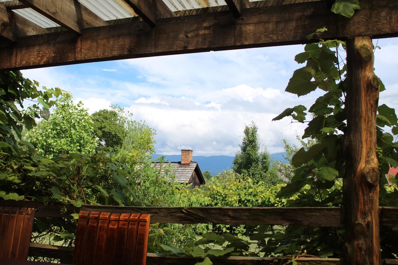 plants, trees, chimneys, leaves, wood, cabin