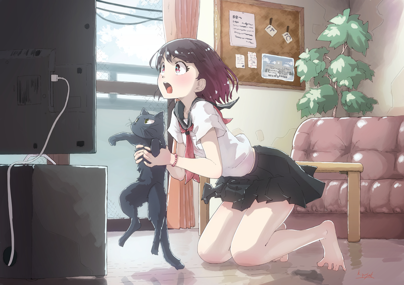anime, comic art, anime girls, cats, TV