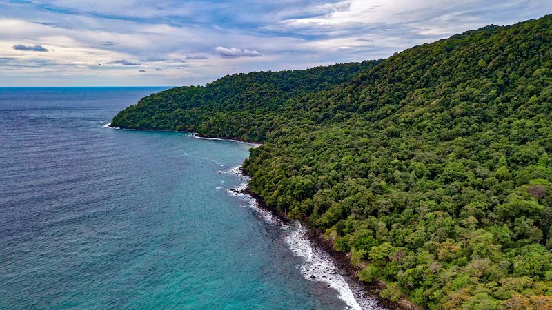 ocean, aerial view, vegetation, beach, shore, 4k