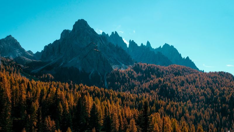 mountain, trees, autumn, shadows, aerial view, 4k