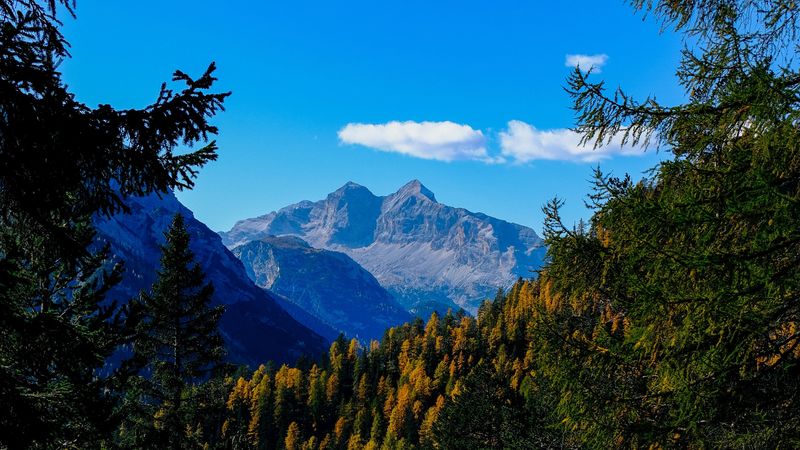 mountains, trees, branches, overview, autumn, landscape, 4k