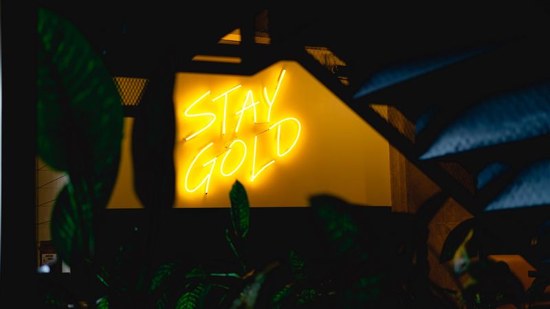 neon, inscription, wall, leaves, backlight, 4k