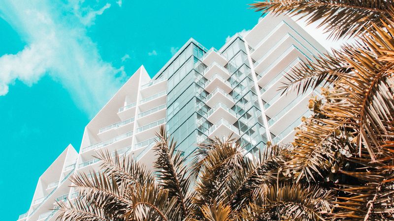 palm trees, building, tropics, sky, bottom view, 4k