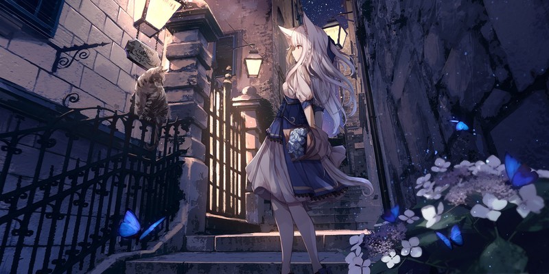 anime, anime girls, digital art, portrait, city, long hair, neko ears, animal ears, white hair, black eyes, dress, flowers