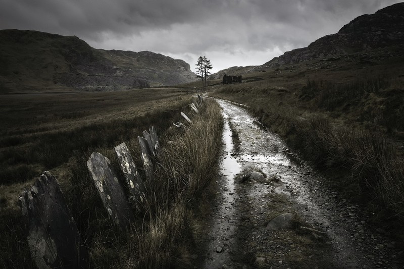 nature, dirt road, outdoors, landscape