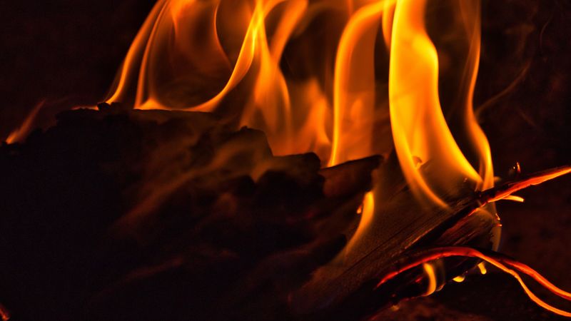fire, bonfire, flame, dark, firewood, burning, 4k