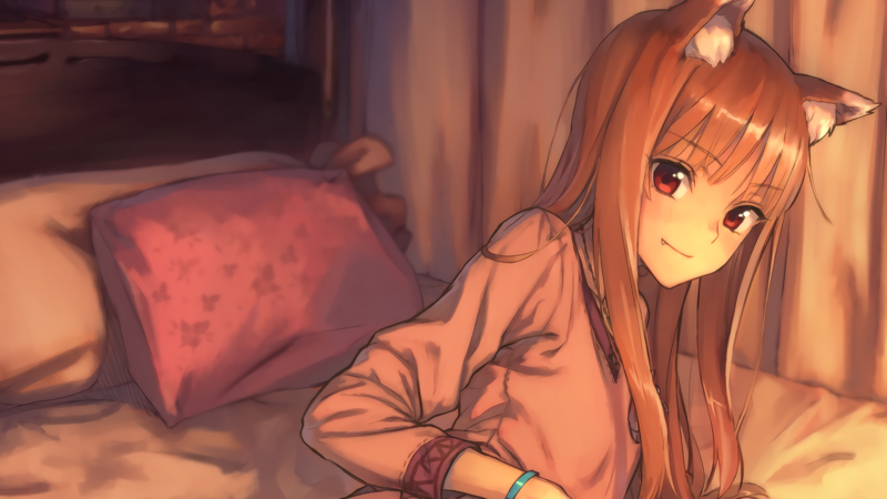 anime, anime girls, Spice and Wolf, Holo (Spice and Wolf), pillow, bed