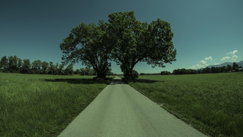 nature, road, trees, sky, clear sky, clouds, grass
