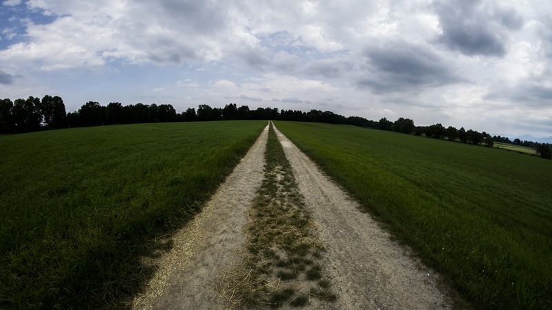 nature, landscape, road, grass, clouds, trees