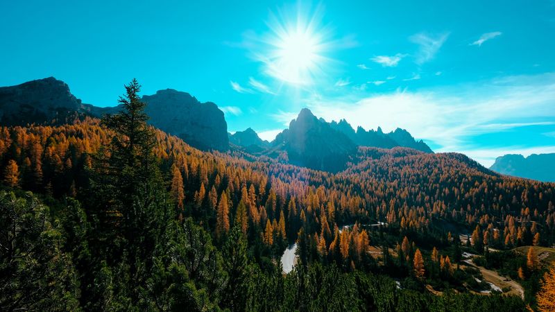 mountains, trees, sun, rays, autumn, aerial view, 4k