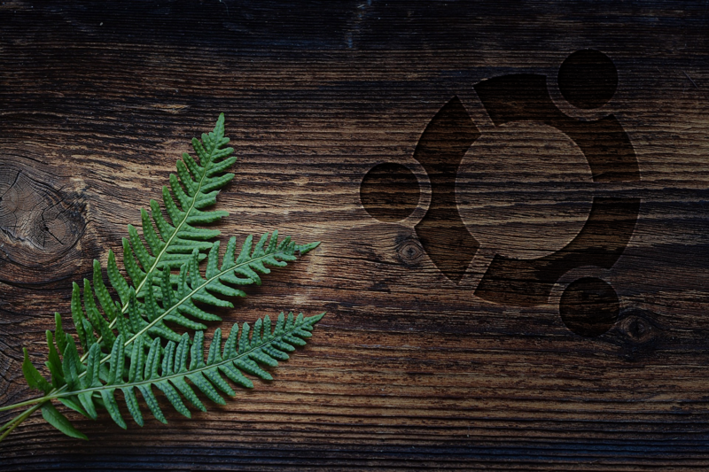 Ubuntu, wood, leaves, table, nature, Linux