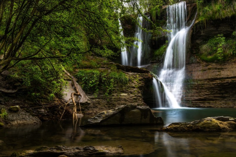 water, nature, waterfall, outdoors, plants