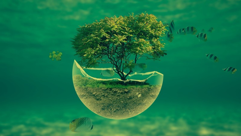 artwork, digital art, abstract, trees, sea, fish, underwater, green
