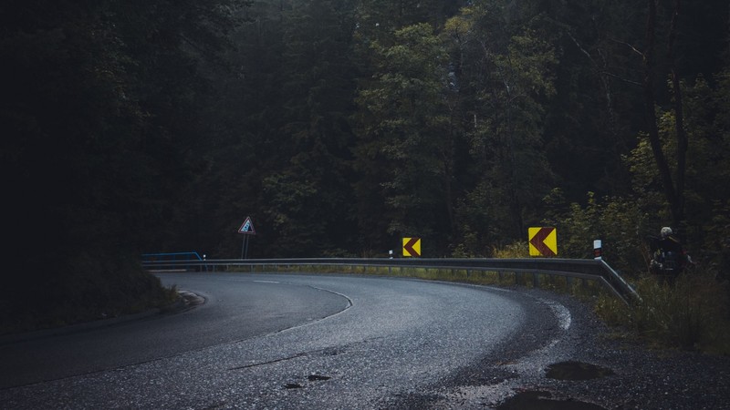 landscape, nature, road, wet road, trees, outdoors