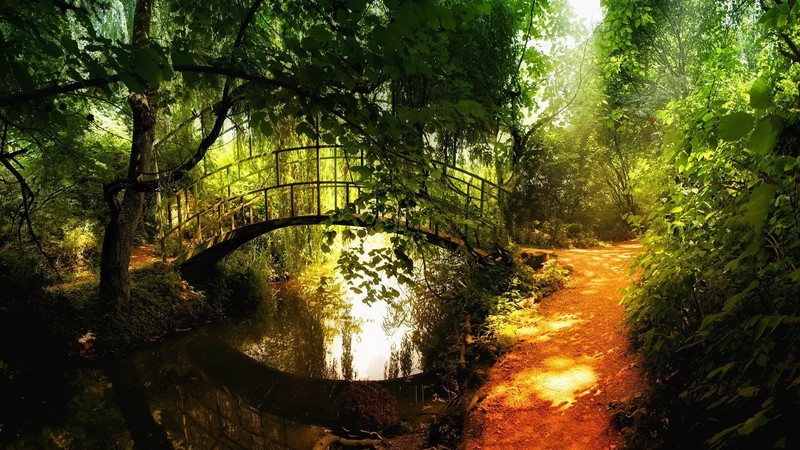 landscape, nature, bridge