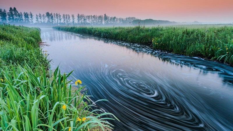 nature, landscape, water, morning, mist, sunrise, swirl, grass, trees, horizon, flowers, river, long exposure
