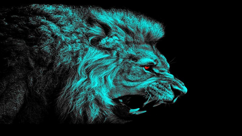 lion, red eyes, animals