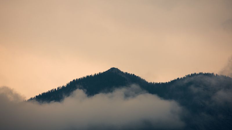 hill, fog, forest, 4k