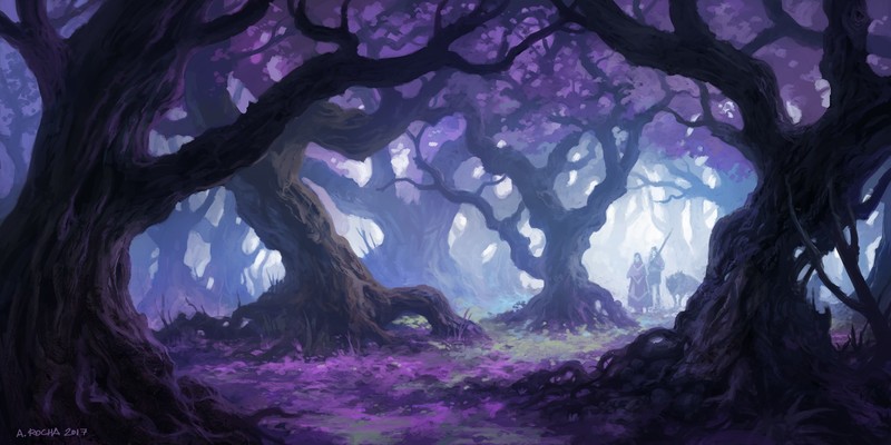 Andreas Rocha, nature, trees, forest, leaves, people, road, twigs, purple