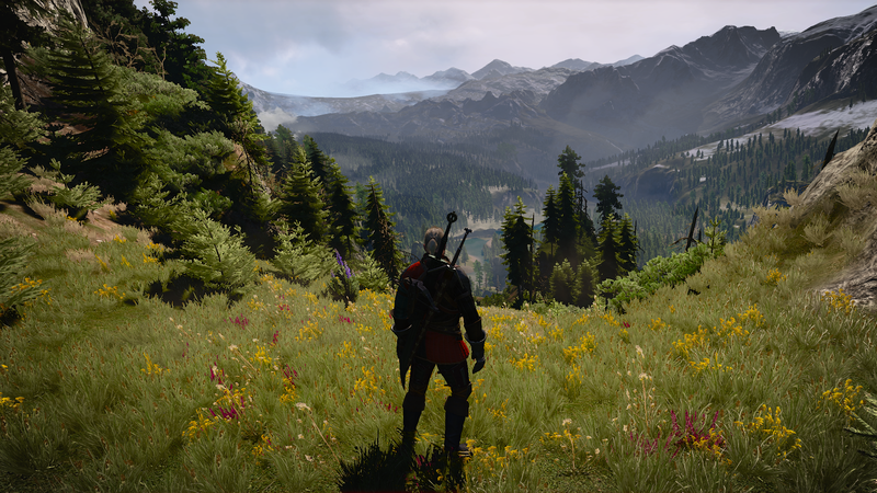 The Witcher, The Witcher 3: Wild Hunt, Geralt of Rivia, CD Projekt RED, video games