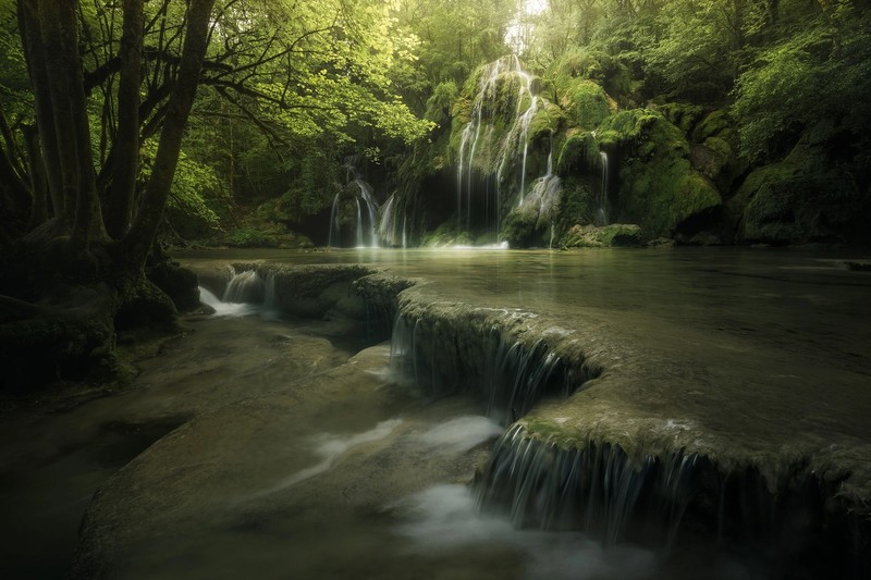 nature, outdoors, plants, water, waterfall