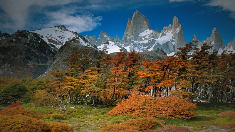 ushuaia, Patagonia, nature, landscape