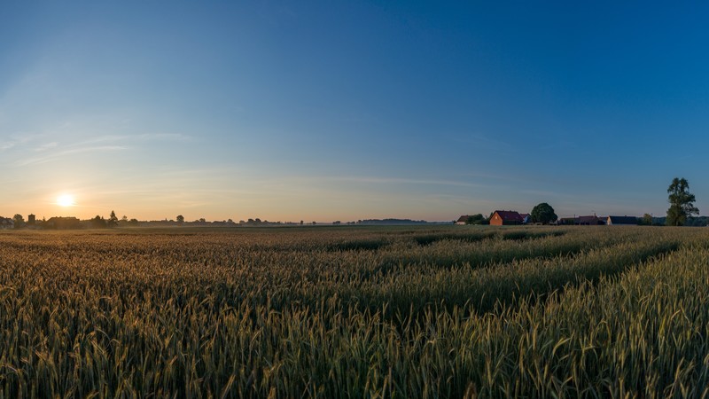 nature, landscape, Poland, village, sunrise, spring