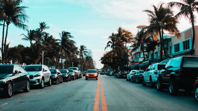 road, cars, markings, palm trees, sky, 4k