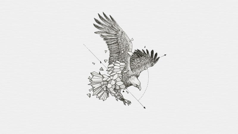 digital art, animals, eagle, bird of prey, birds, white background
