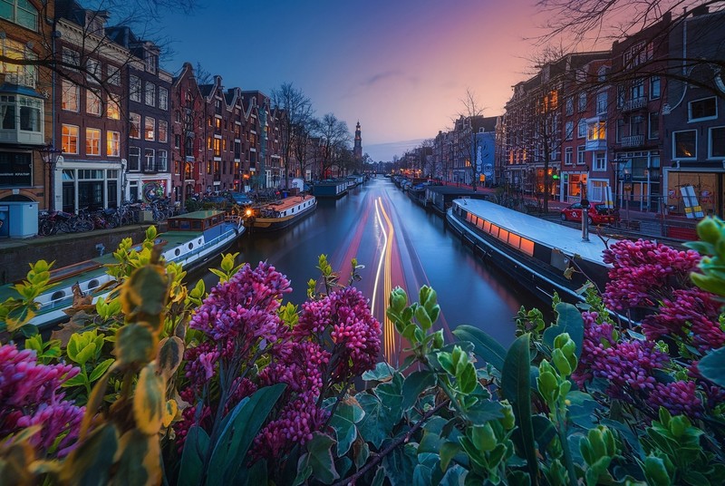 Amsterdam, Netherlands, cityscape, long exposure, flowers, plants
