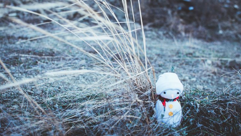 snowman, christmas, new year, toy, grass, blur, 4k