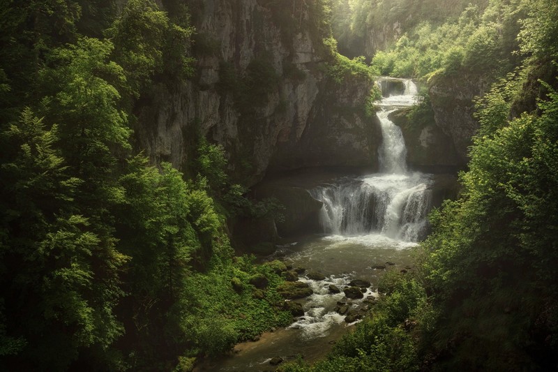 nature, water, plants, outdoors, waterfall