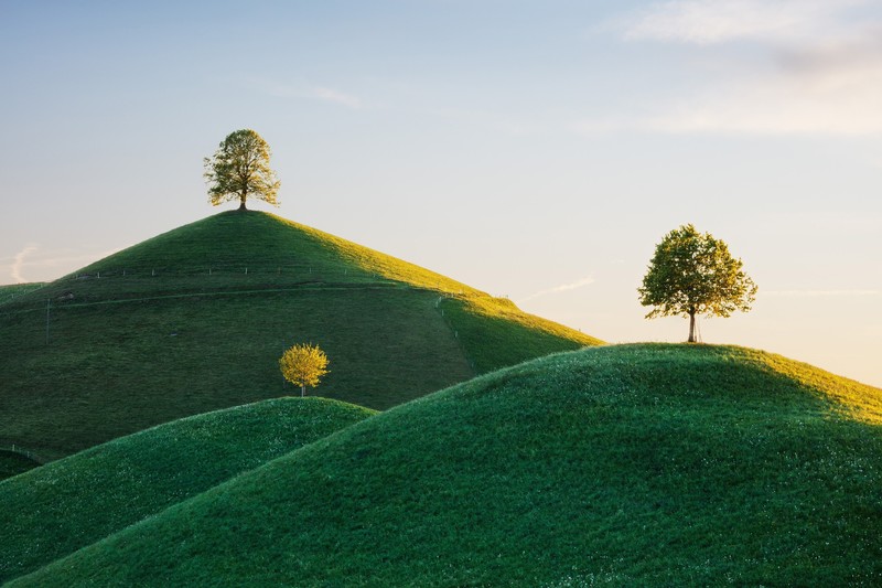 outdoors, trees, sky, hills, plants