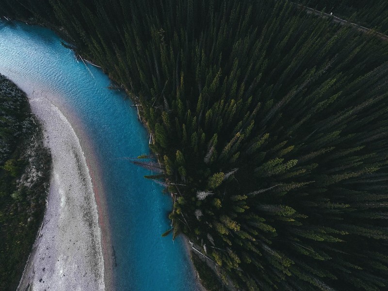aerial view, trees, outdoors, water, river