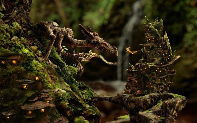 fantasy art, dragon, nature, forest