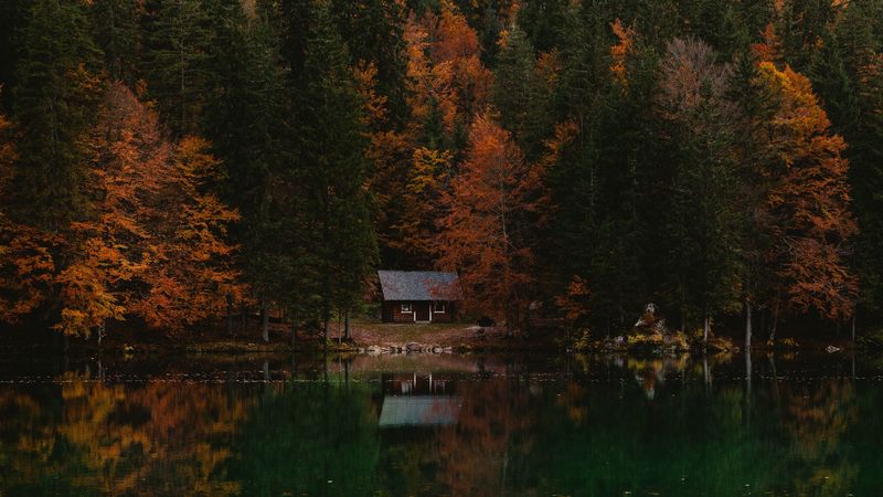 forest, house, autumn, lake, italy, 4k