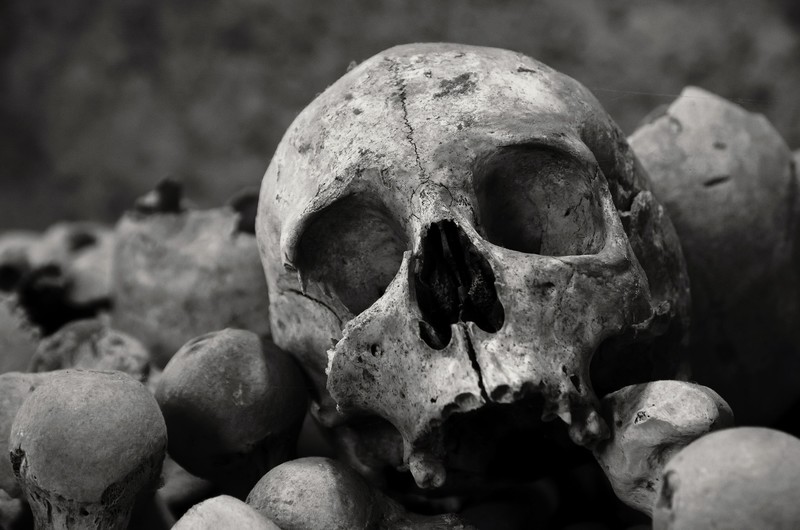 monochrome, skull, bones, dark