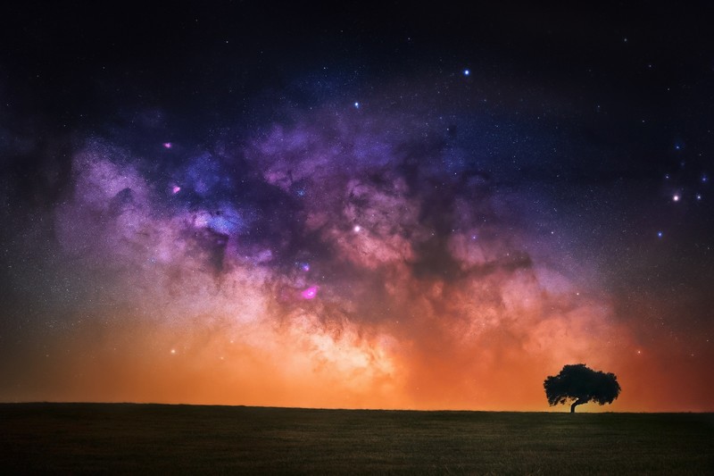 sky, nature, stars, trees