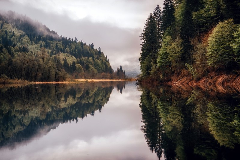 water, trees, nature, reflection, symmetry, calm waters, mist, lake