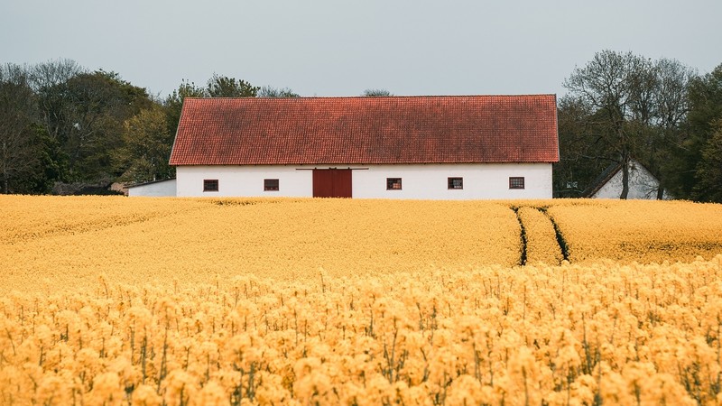 nature, house, field, building, trees, landscape