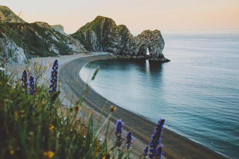 sea, coast, outdoors, flowers, plants, Durdle Door, cliff, beach
