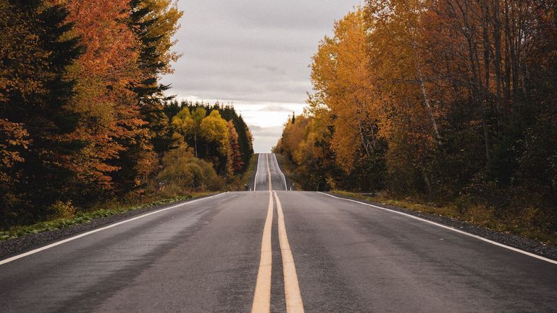 road, marking, autumn, 4k