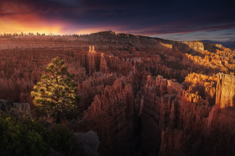 USA, rock, Arizona, nature, landscape, Bryce Canyon National Park