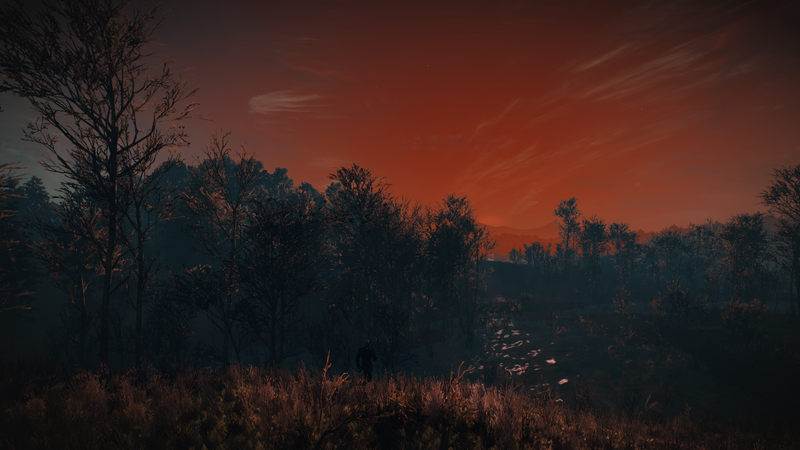 The Witcher 3: Wild Hunt, red