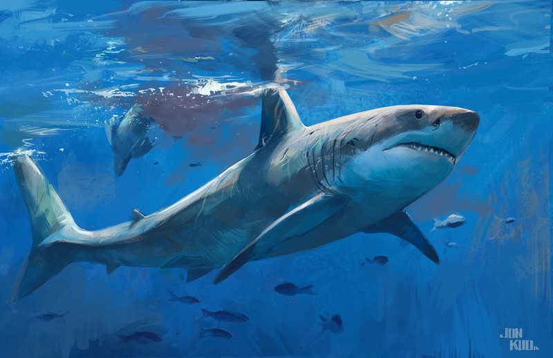 artwork, digital art, sea, shark, fish