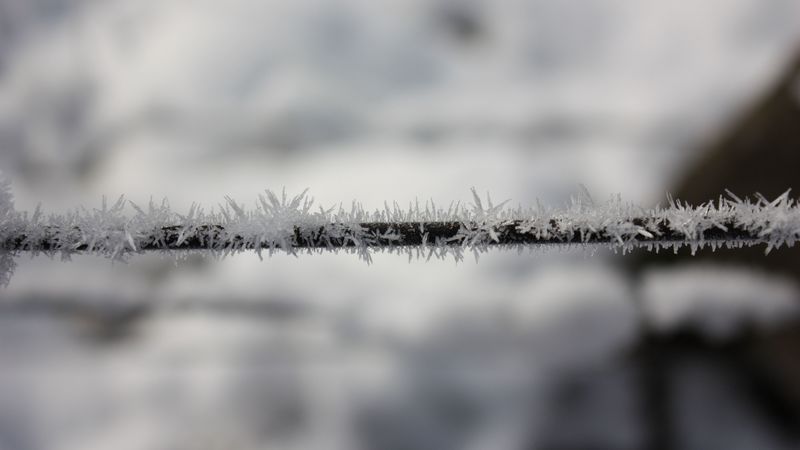 wire, hoarfrost, frost, crystals, metallic, freeze, macro, 4k