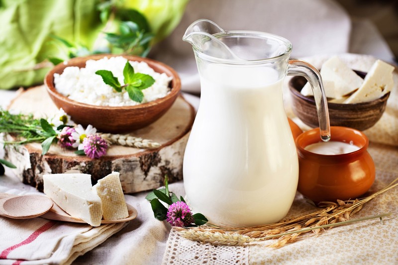 food, milk, cheese, flowers, still life
