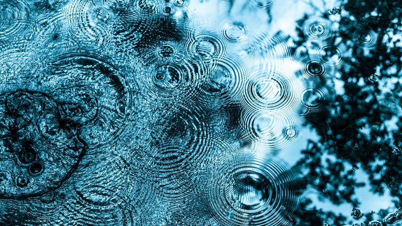 water, surface, circles, waves, mirror, 4k