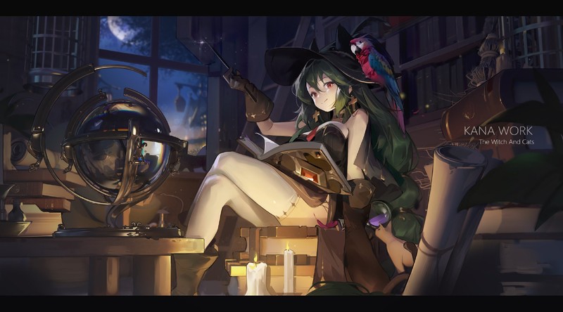 anime girls, witch, cats